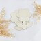 20 Pack 6 Inch Wood Flower Crafts Unfinished Wood Sunflower Cutouts Wooden Flower Hanging Ornaments DIY Sunflower Craft Gift Tags for Home Party Decoration Craft Project